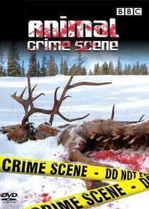 Animal Crime Scene