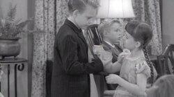 A Taste of Lobster A Taste of Lobster