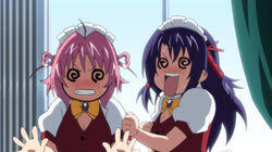 Suspicion in the Director's Office Suspicion in the Director's Office