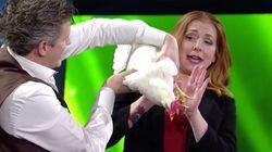 Penn, Teller and a Mind Reading Chicken