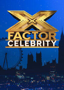 The X Factor: Celebrity