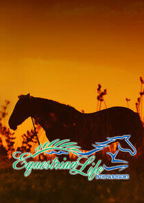 Equestrian Life in the Palm Beaches