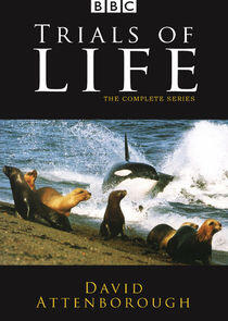 The Trials of Life: A Natural History of Behaviour