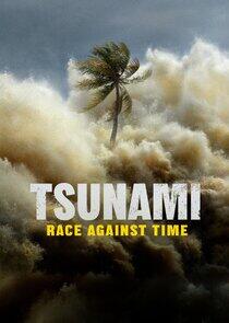 Tsunami: Race Against Time