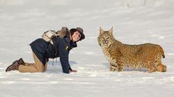 Andy and the Bobcat Andy and the Bobcat