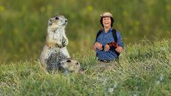 Prairie Dogs