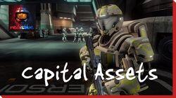 Capital Assets