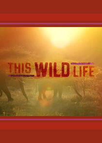 This Wild Life