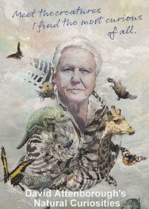 David Attenborough's Natural Curiosities