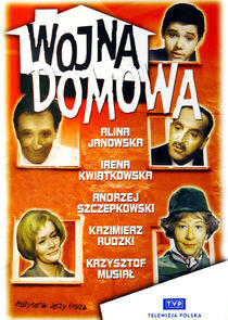 Wojna domowa