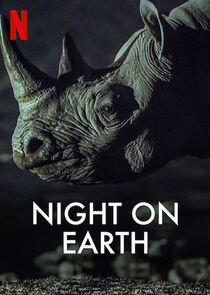 Night on Earth