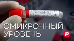 ОМИКРОННЫЙ УРОВЕНЬ: Что стоит знать про новый штамм, атакующий Россию