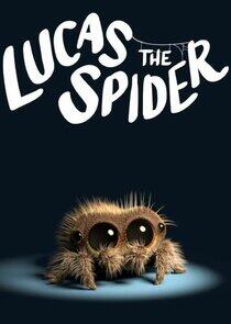 Lucas the Spider