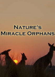 Nature's Miracle Orphans