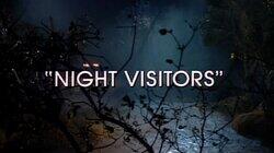 Night Visitors