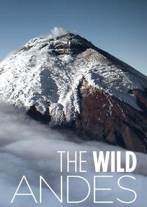 The Wild Andes