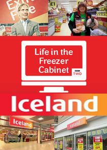 Iceland Foods: Life in the Freezer Cabinet