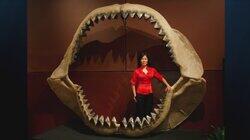 Terrors of the Deep Terrors of the Deep