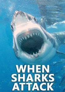 When Sharks Attack