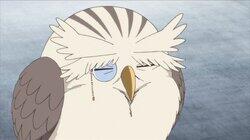 The Worst Possible Meeting The Worst Possible Meeting