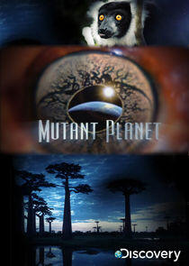 Mutant Planet