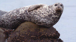 Monterey Bay Marine Sanctuary