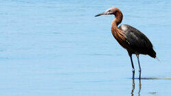 Florida Keys National Marine Sanctuary