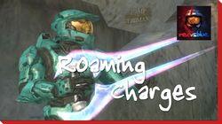 Roaming Charges