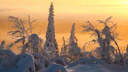 To the Ends of the Earth To the Ends of the Earth