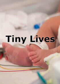 Tiny Lives