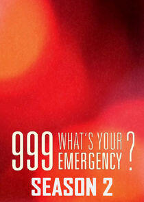 999: What's Your Emergency? - Season 2