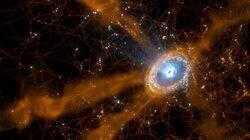 Secrets of the Cosmic Web