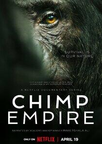 Chimp Empire - Season 1