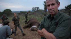 Rhino Wars