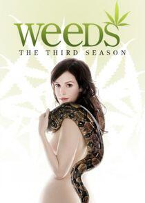 Weeds - Season 3