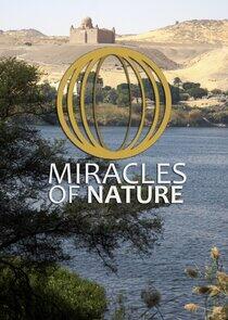 Miracles of Nature