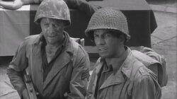 The Wounded Don't Cry The Wounded Don't Cry