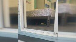 Neighbor Under My Bed Neighbor Under My Bed