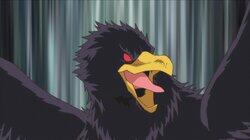 I'm in Training I'm in Training