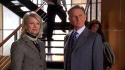 Schmidt Happens Schmidt Happens