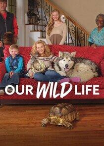 Our Wild Life