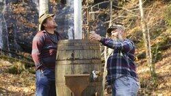 A Cow Walks Into a Distillery A Cow Walks Into a Distillery