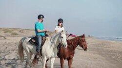 Horsing Around on South Padre Island