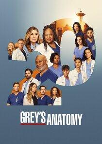 Grey's Anatomy - Season 20