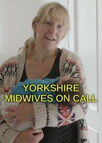 Yorkshire Midwives on Call