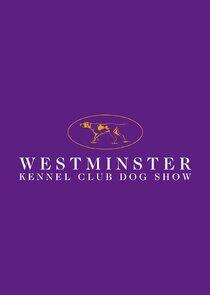 Westminster Kennel Club Dog Show