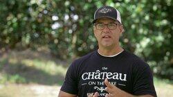 The Last Week of Summer The Last Week of Summer