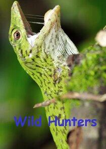 Wild Hunters