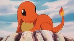 Charmander - The Stray Pokémon