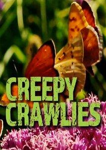 Creepy Crawlies